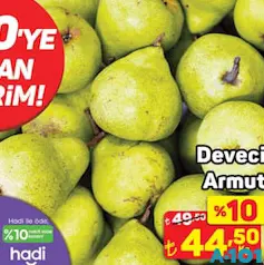 DEVECİ ARMUT KG DEVECİ ARMUT KG